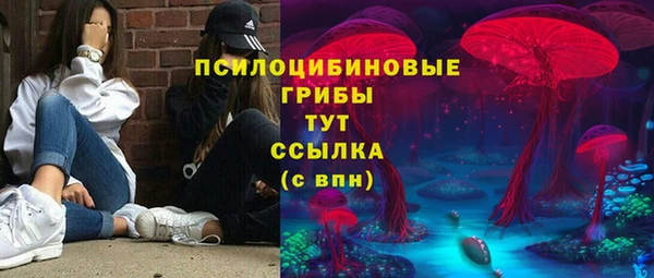 mdpv Арсеньев